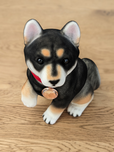 ふわふわワンちゃん貯金箱 | 柴犬(黒)