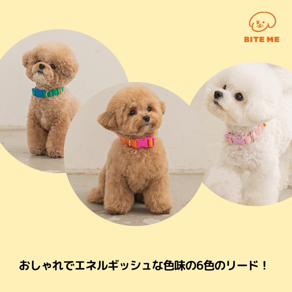 biteme | キャンディークレヨン首輪(6カラー)