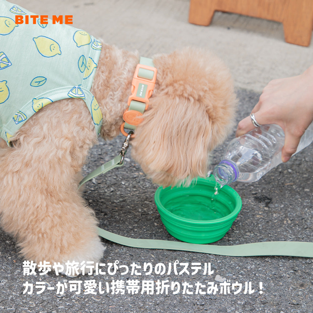 biteme | 携帯用折りたたみボウルパステル(4カラー)