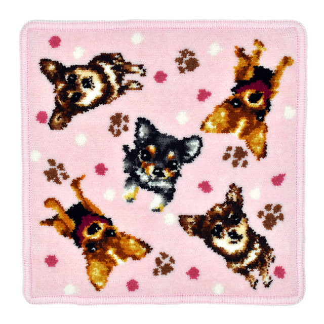 ハンカチ/タオルハンカチ アーンジョー 23cm /  チワワ