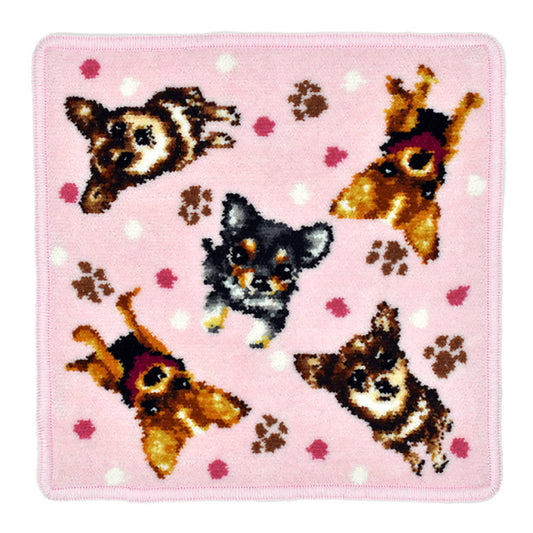 ハンカチ/タオルハンカチ アーンジョー 23cm /  チワワ