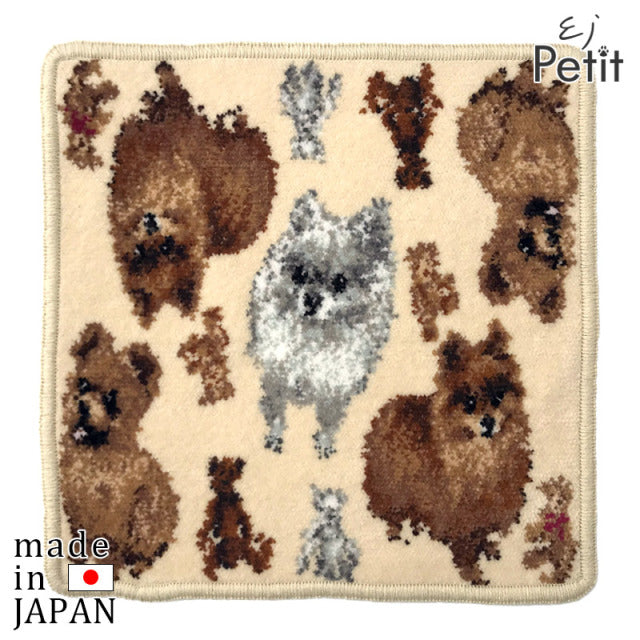 ハンカチ/タオルハンカチ アーンジョー 23cm / ポメラニアン　