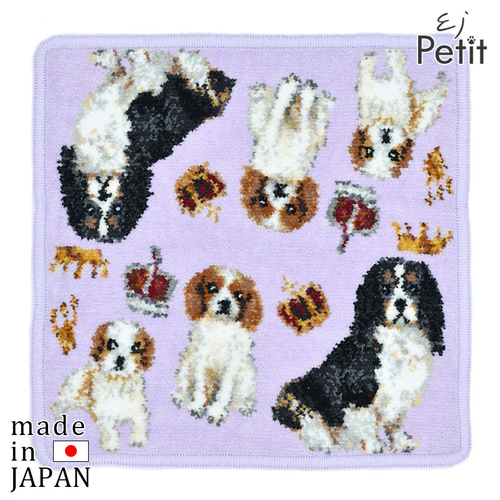 ハンカチ/タオルハンカチ アーンジョー 23cm / キャバリア