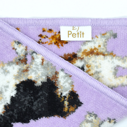 ハンカチ/タオルハンカチ アーンジョー 23cm / キャバリア