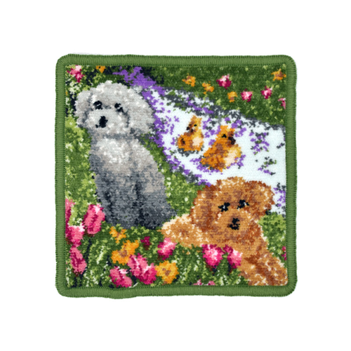 ハンカチ/タオルハンカチ アーンジョー 17cm / プードル