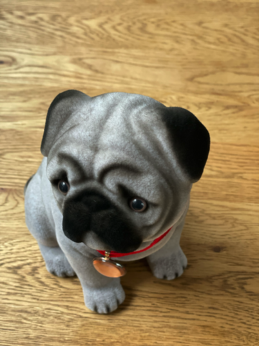 ふわふわワンちゃん貯金箱 | パグ