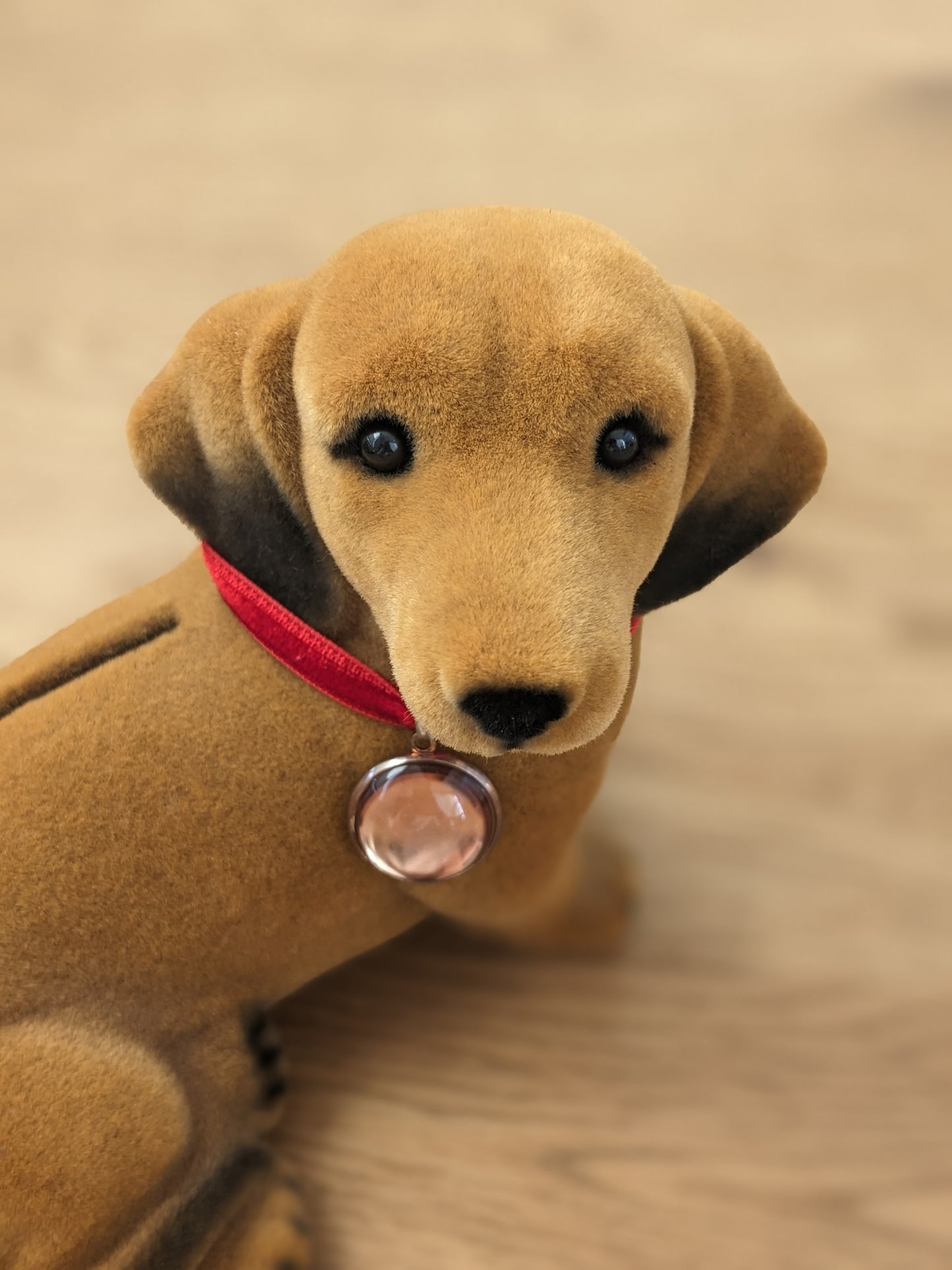 ふわふわワンちゃん貯金箱 | ダックスフンド