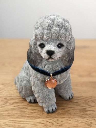 ふわふわワンちゃん貯金箱 | プードル